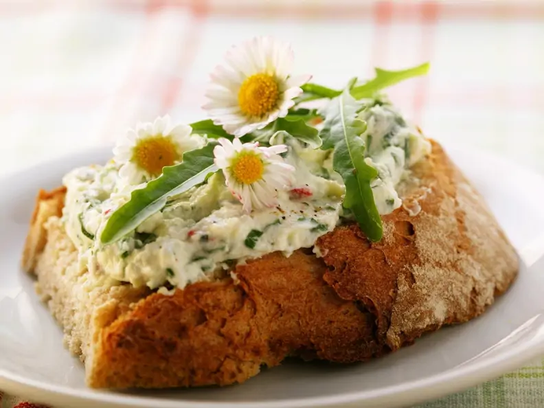 Brot mit Rauke-Quark und Gänseblümchen