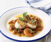 Jakobsmuscheln mit Salsa aus Tomaten
