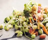 Salat aus Bohnensprossen