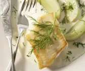 Schellfisch mit Fenchel in Anislikörsoße
