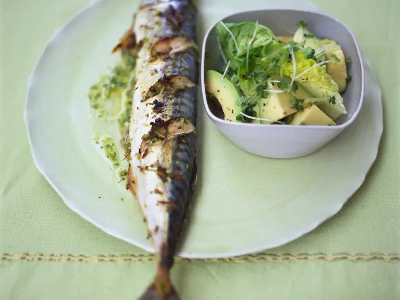 Gebackene Makrele mit Avocado-Salat