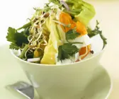 Bunter Salat mit Kräutern und Ei