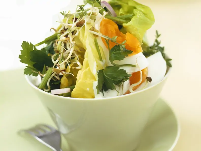 Bunter Salat mit Kräutern und Ei