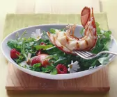 Wildkräutersalat mit halbem gegrilltem Hummer
