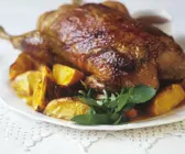 Ente mit Orangen
