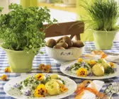 Kartoffeln mit Kräuterquark und essbaren Blüten