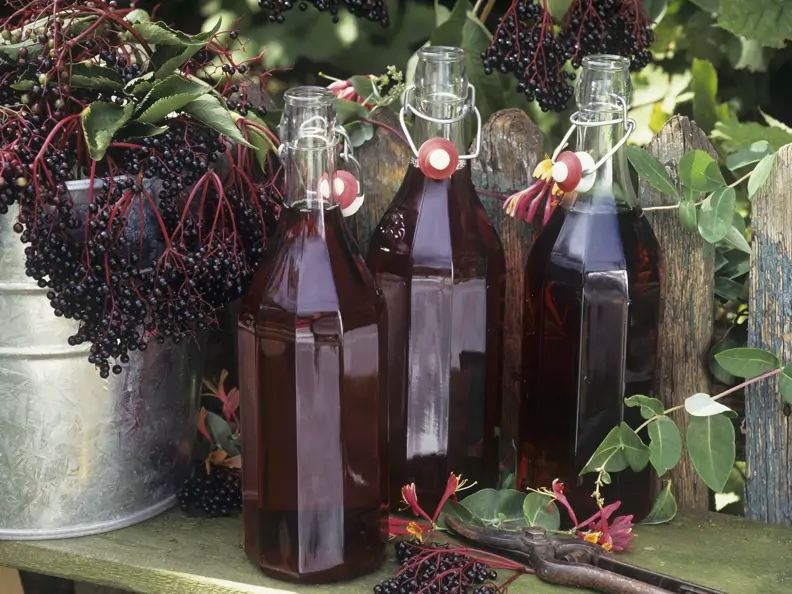 Holundersaft