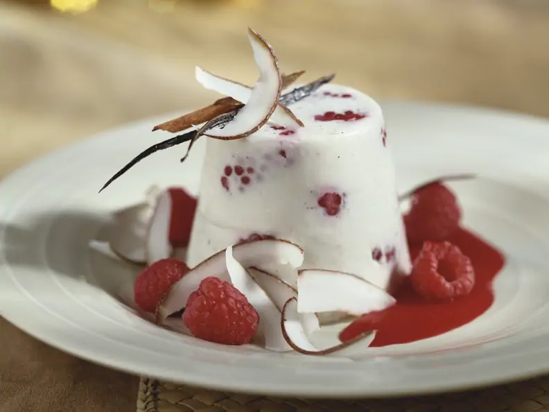 Himbeer-Panna-Cotta mit Kokoschips