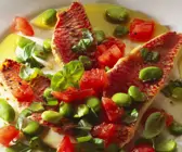 Rotbarbenfilets mit Saubohnen und Tomaten