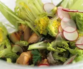 Salat mit gegrilltem Wildlachs, Sardellen und Fenchel