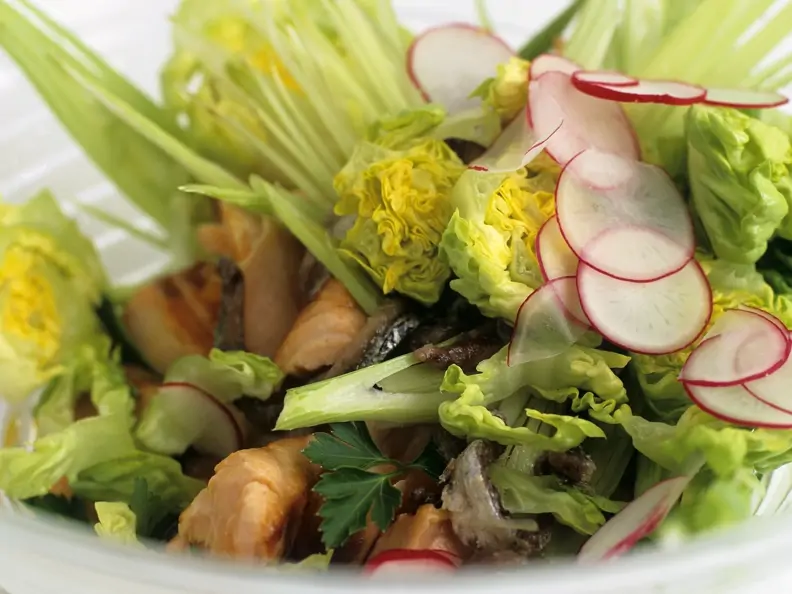 Salat mit gegrilltem Wildlachs, Sardellen und Fenchel