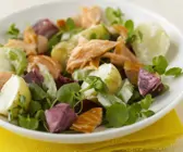Salat mit Lachs und Joghurt-Dressing