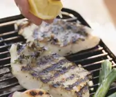 Gegrillte Fischfilets mit Zitrone
