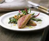 Rotbarben mit Linsen und Salat