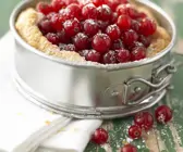 Johannisbeerkuchen