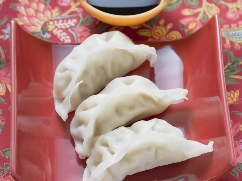Asiatische Teigtaschen (Wan Tan)