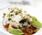 Seelachsröllchen mit Oliven-Tomaten-Sugo