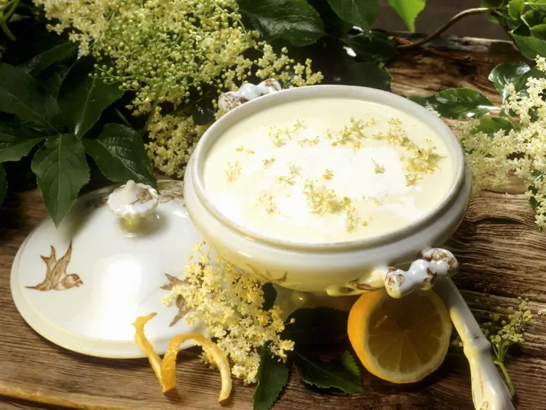 Milchsuppe mit Hollerblüten