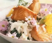 Lachsrisotto mit Essblüten