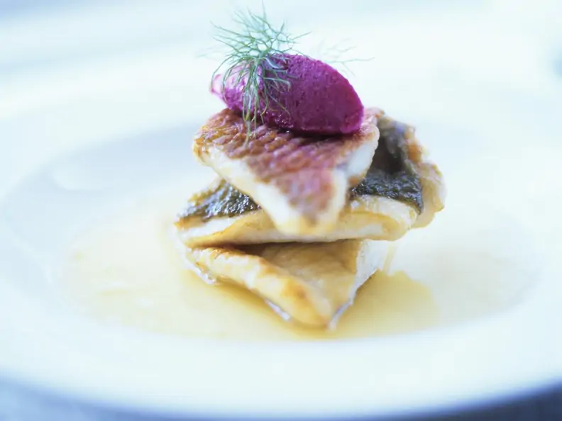 Rotbarben- und Zanderfilets mit pinker Mousse