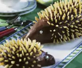 Igel-Kuchen