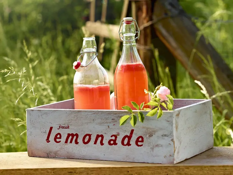 Melonenlimonade