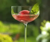 Sekt mit Erdbeersorbet