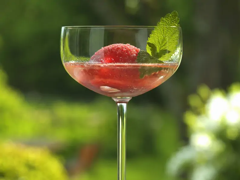 Sekt mit Erdbeersorbet