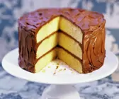 Schoko-Biskuit-Torte