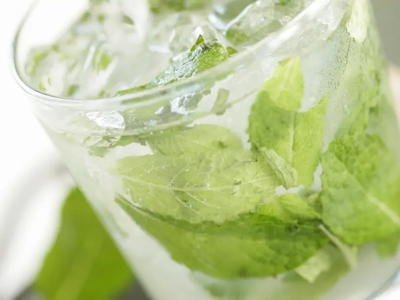 Mojito