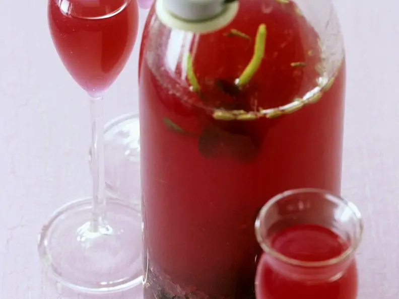 Selbst gemachter Johannisbeer-Kräuter-Likör