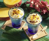 Kokos-Mango-Quark