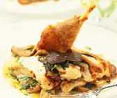 Trüffel-Hähnchen mit Austernpilzen