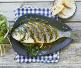 Dorade mit Pesto