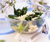 Brennnesselsalat