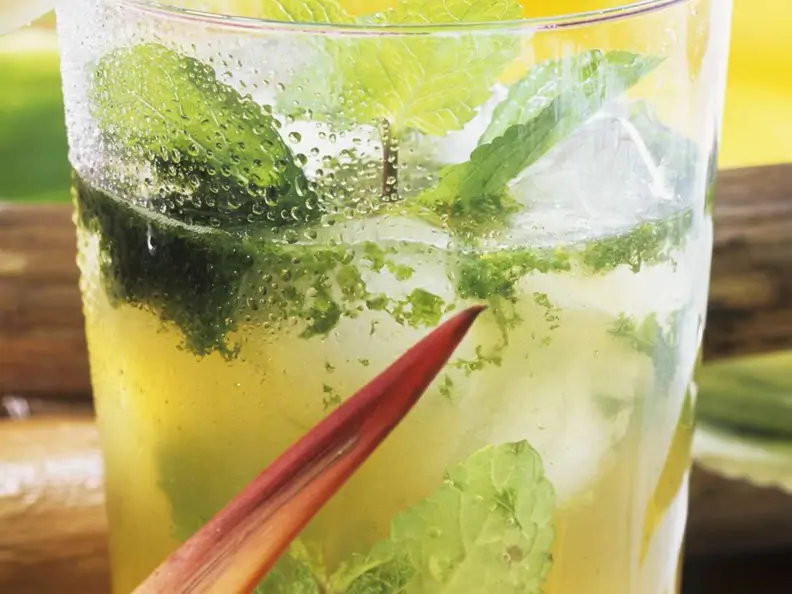 Mojito