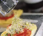 Tomate und Mozzarella auf Toast