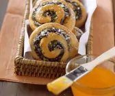 Mohnschnecken