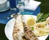 Forellen mit Fenchel vom Grill