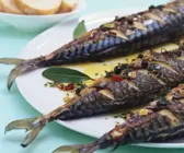 Gegrillte Makrelen