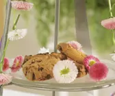 Schokoladen-Cookies