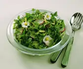 Spinatsalat mit Gänseblümchen
