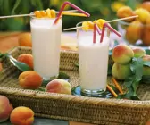Frucht-Milchshakes
