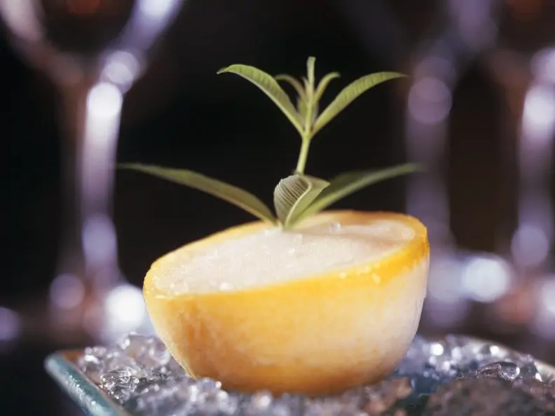 Zitronensorbet