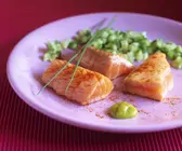 Lachs mit Gurkensalat