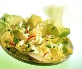 Kopfsalat mit Radieschen