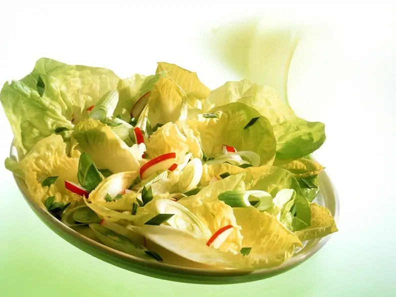 Kopfsalat mit Radieschen