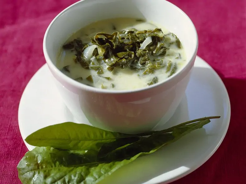 Kalte Suppe vom Sauerampfer