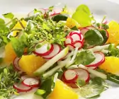 Gurken-Radieschensalat mit Orangendressing