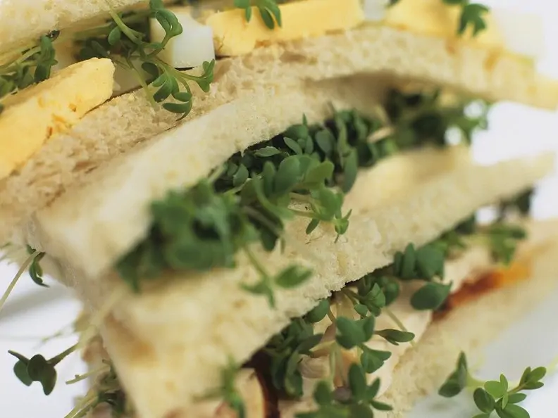 Hähnchen-Sandwich mit Ei